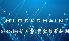 降低Tokenim矿工费，资金能否如期到账？